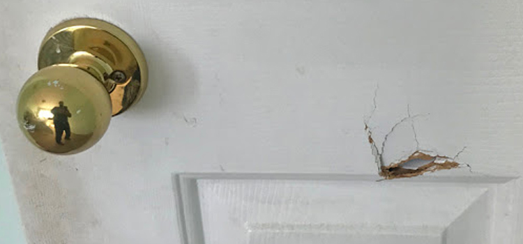 interior door hole repair Castroville