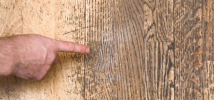 Wood Door Scratch Repair in Castroville